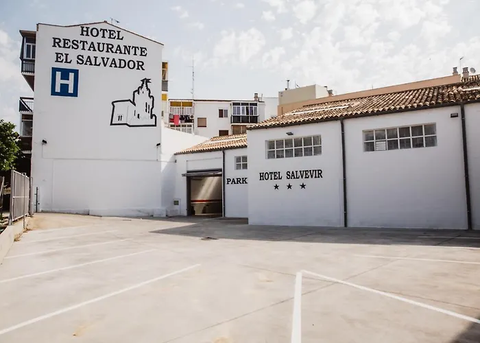 Salvevir Ejea De Los Caballeros